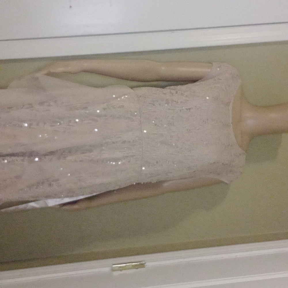 Sequin and lace dress (Taupe/Khaki with silver sequin